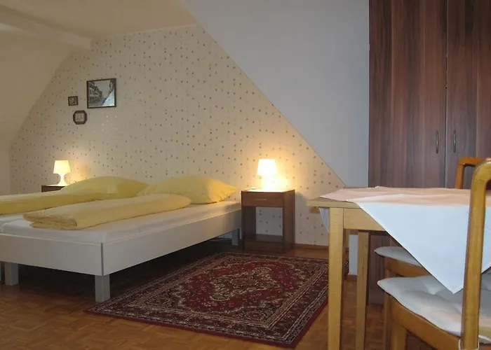 Sonne 酒店 布雷根茨